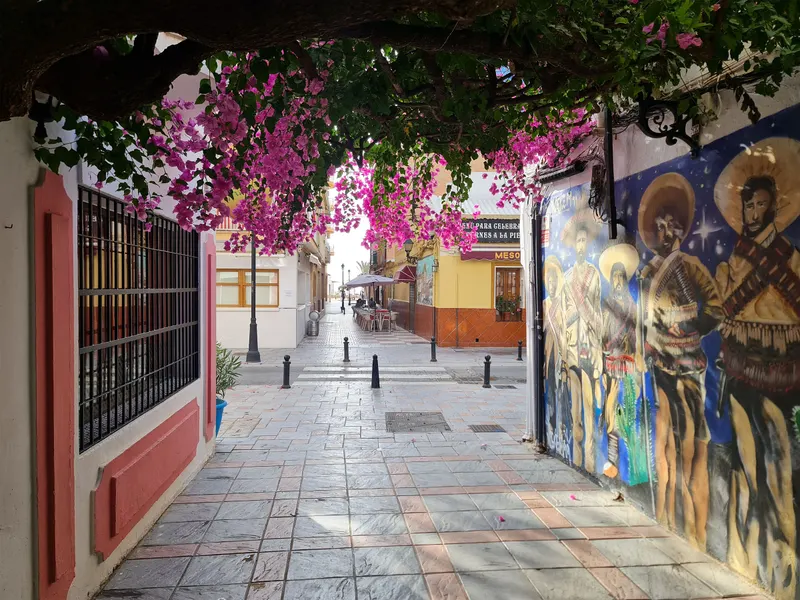 The streets of the neighbourhood
